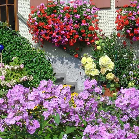 Hotel Herzberger Garni & Scheidegg