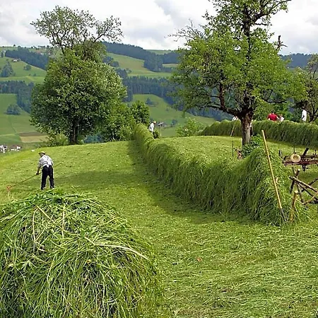 Herzberger Garni & 3* Scheidegg