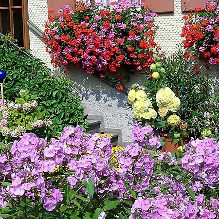 Hotel Herzberger Garni & Scheidegg