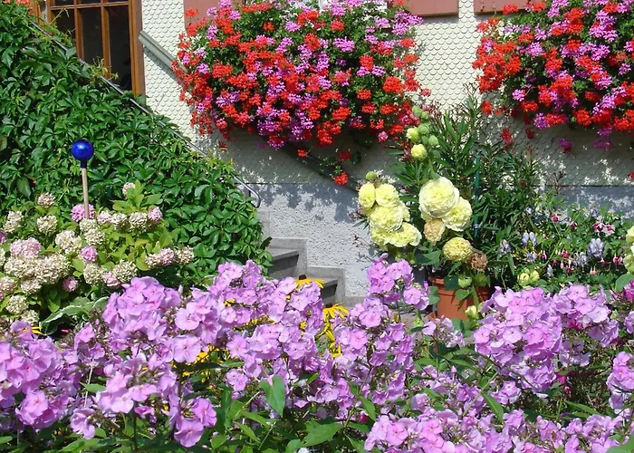 Hotel Herzberger Garni & Scheidegg
