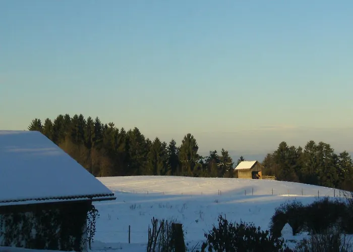 Herzberger Garni & Hotel